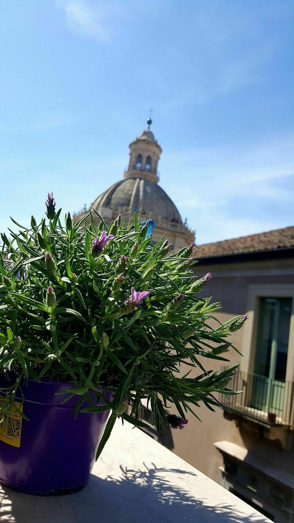 Casa Provenza Hotel Catania-Fontanarossai nemzetközi repülőtér Kültér fotó